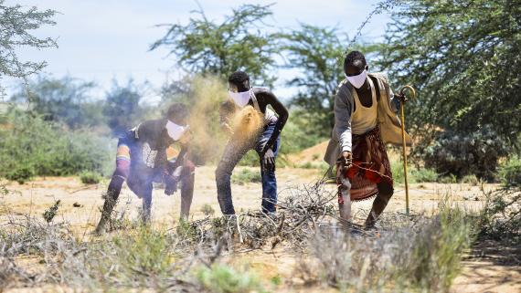 A group of farmers throw dirt from a field to alert aerial operation